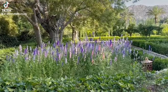 WhatsApp Image 2026-02-11 at 7.06.14 AM